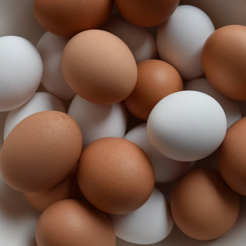 Organic Free-Run Eggs
